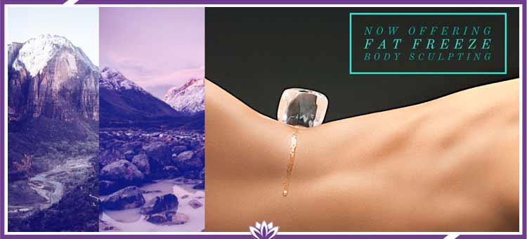 Fat Freeze Technology For Body Contouring Fat Freeze Technology For Body Contouring